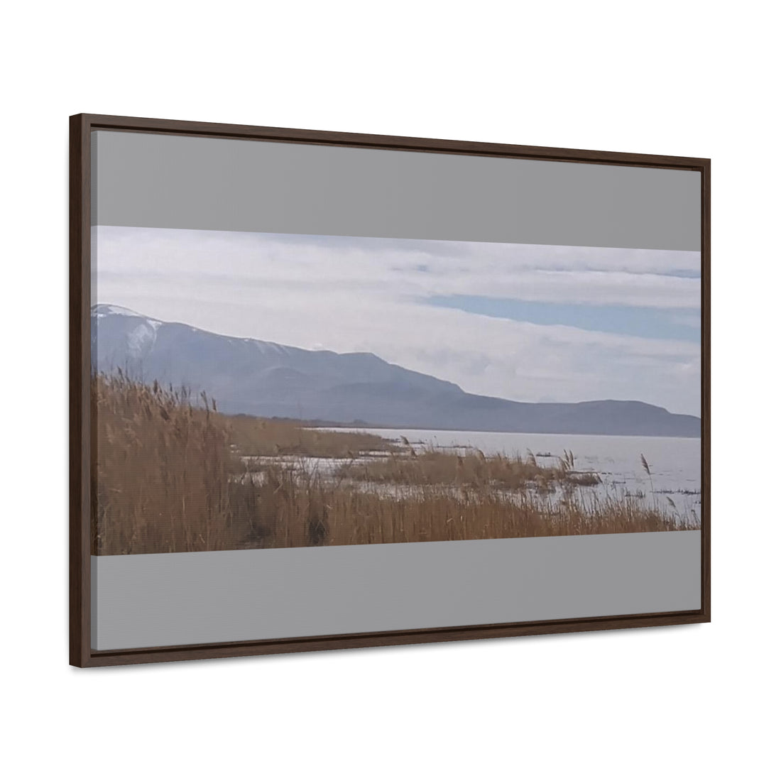 Gallery Canvas Wraps, Horizontal Frame