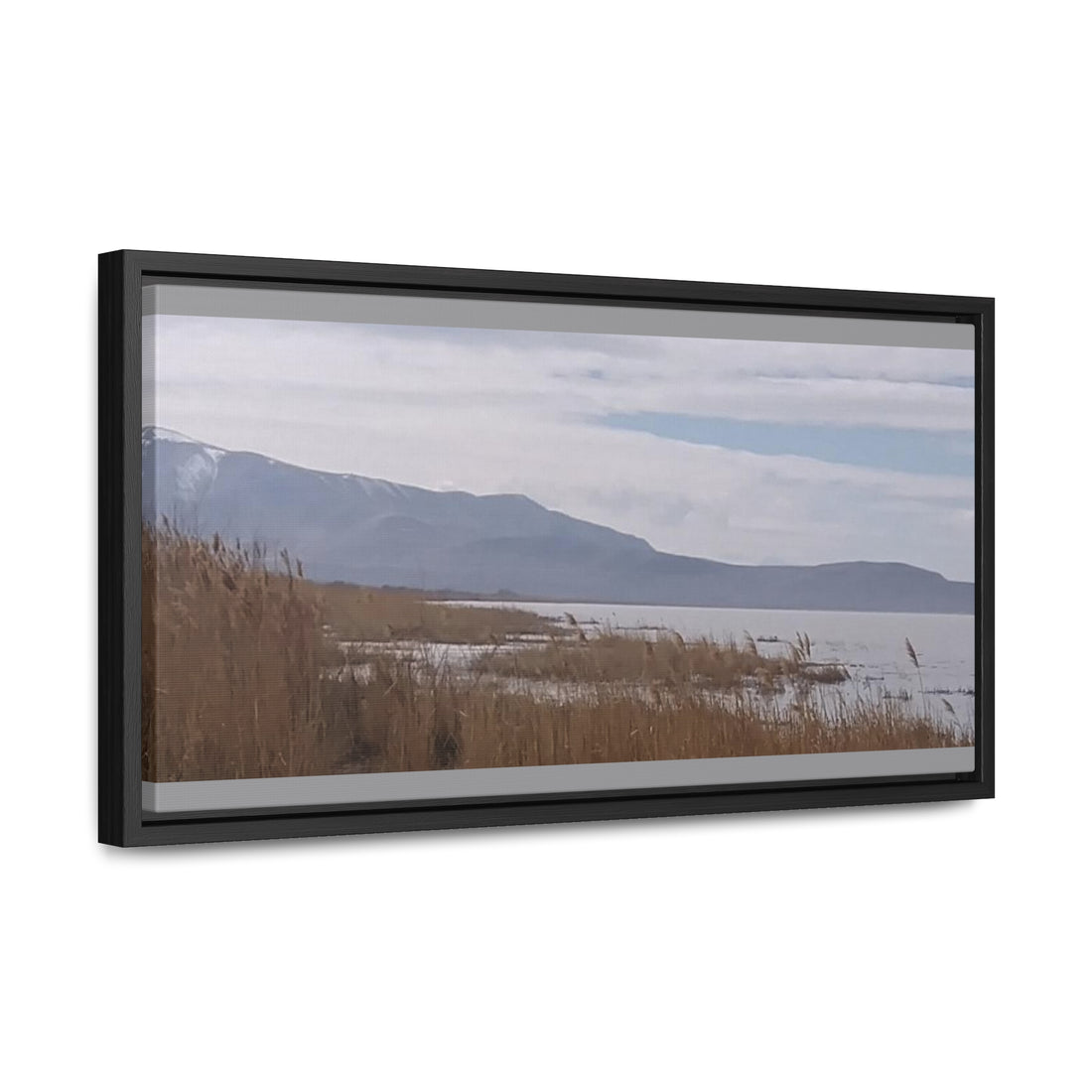 Gallery Canvas Wraps, Horizontal Frame