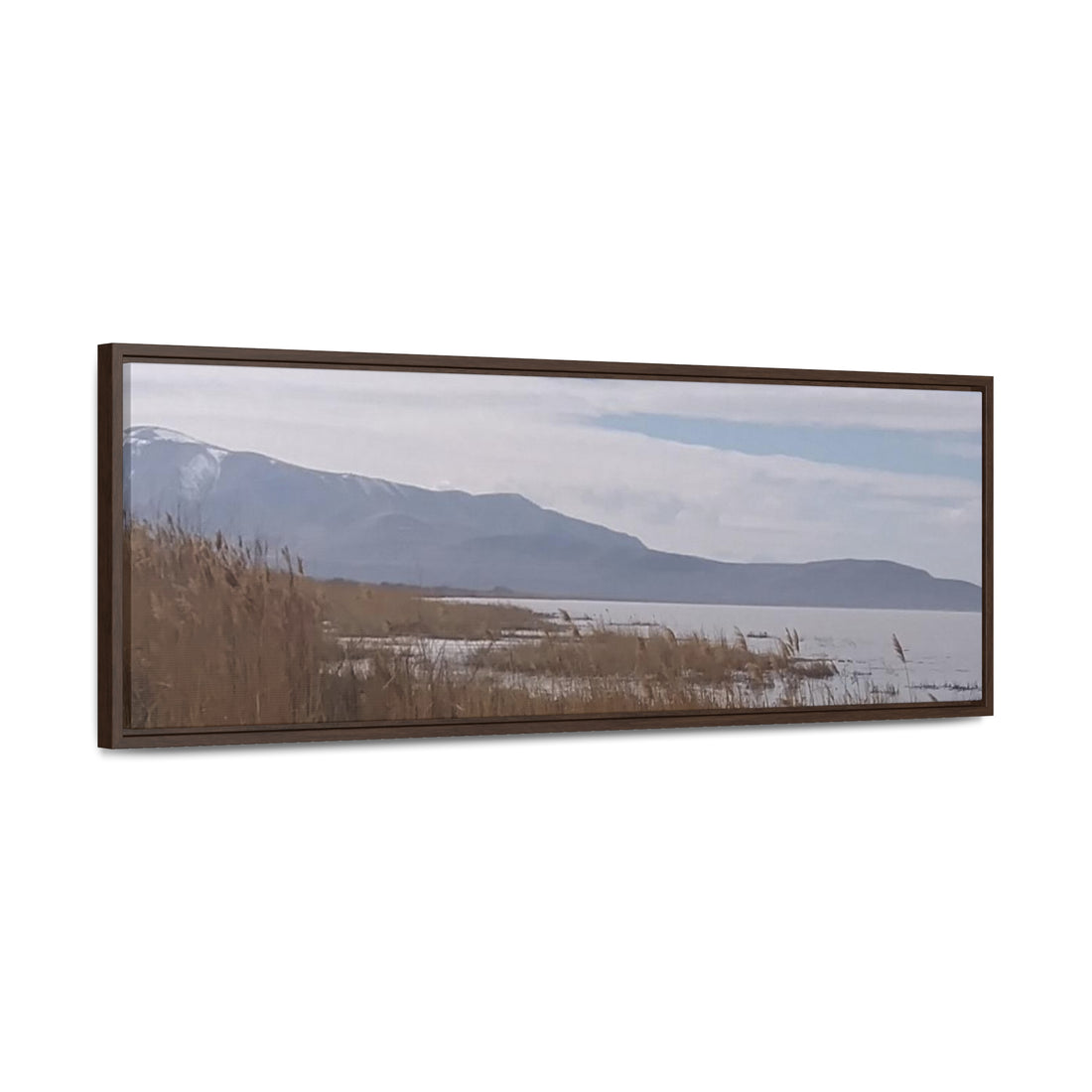 Gallery Canvas Wraps, Horizontal Frame