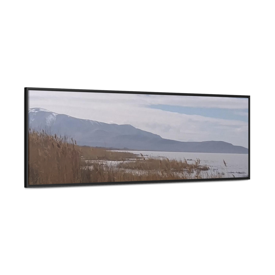 Gallery Canvas Wraps, Horizontal Frame